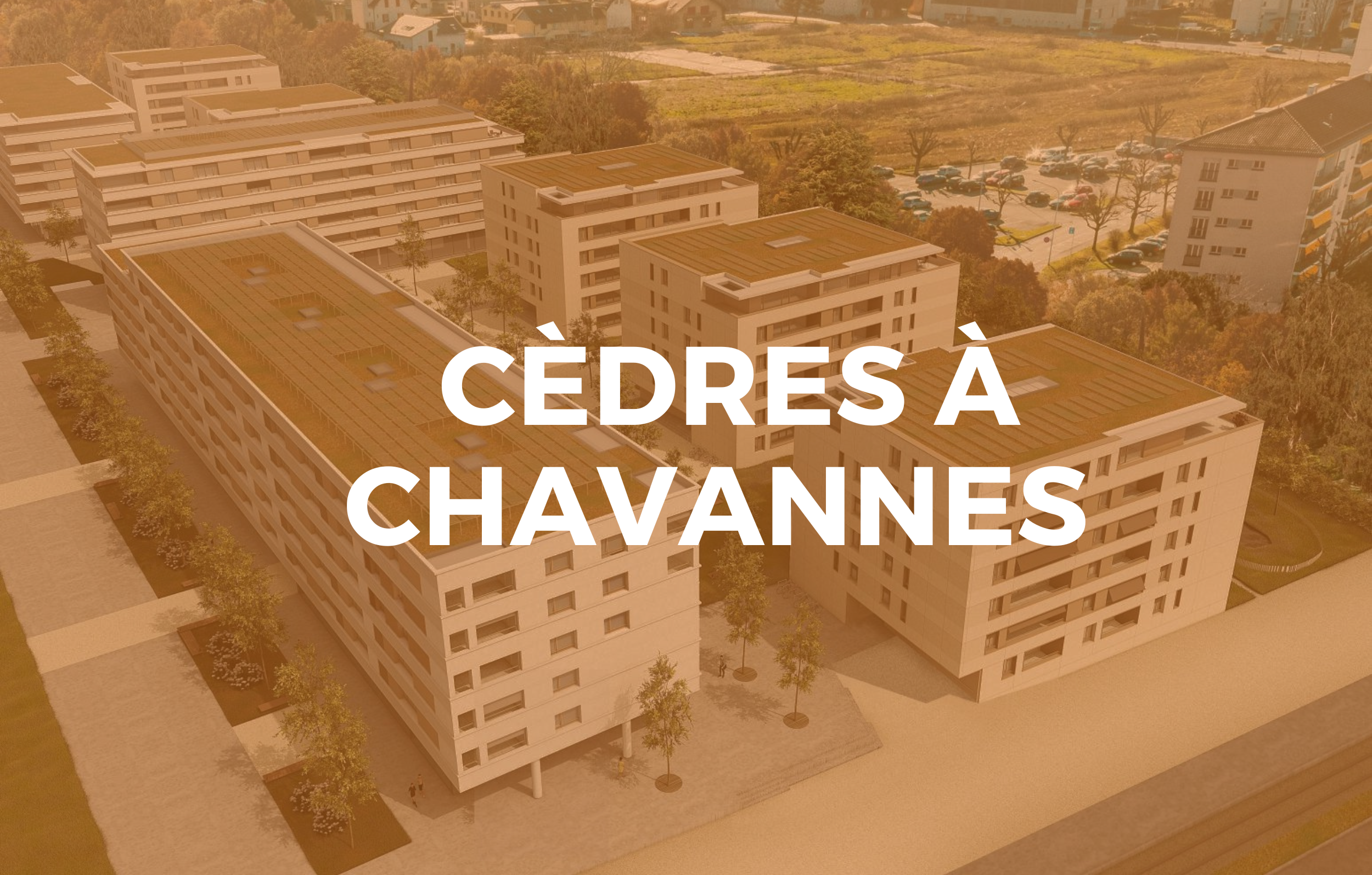 Nettoyage fin de chantier Cèdres Chavannes 200 appartements Clean-Clean Sàrl
